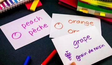 Learn French