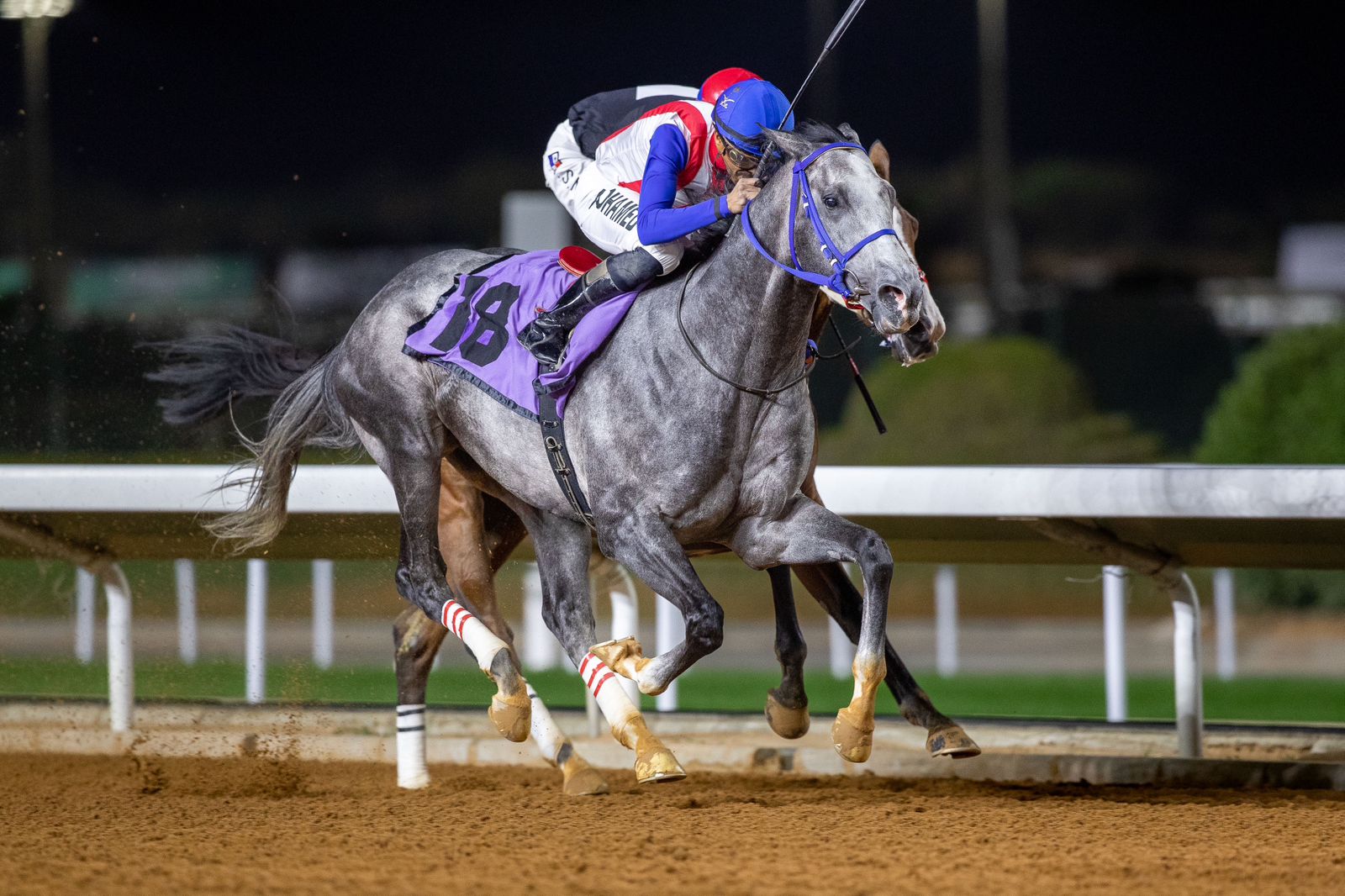 Horse Zuran Zuran, winner of the JCSA Challenge Cup (JCSA)