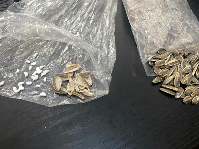 Lebanese authorities shared a video of the seized pills. (Nida Al-Watan/Sourced)