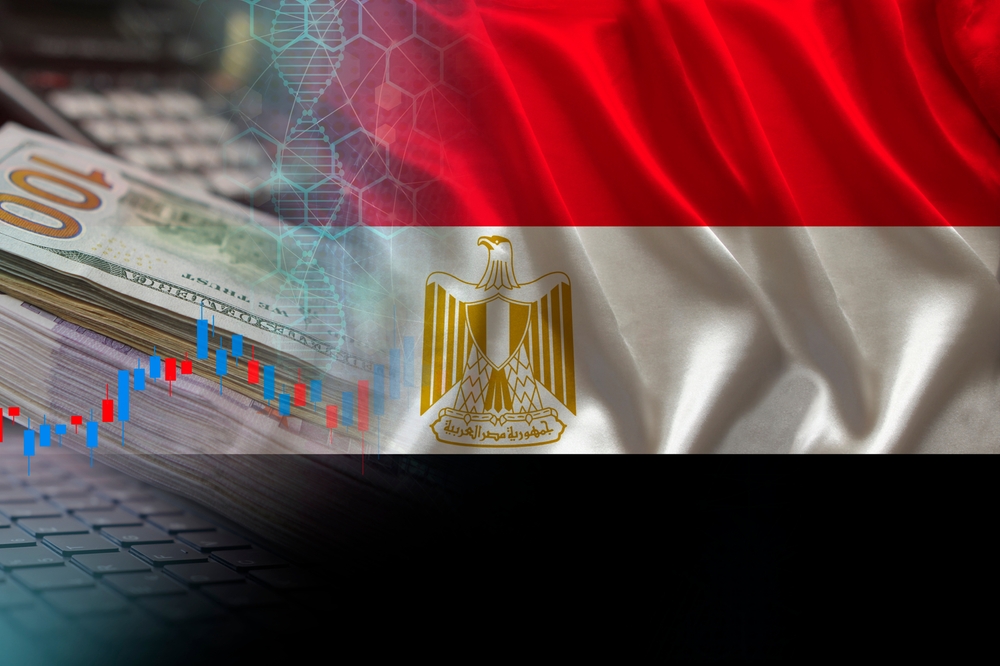 Around 32 state companies will either be listed on the Egyptian stock exchange or sold to strategic investors over the coming year. (Shutterstock)