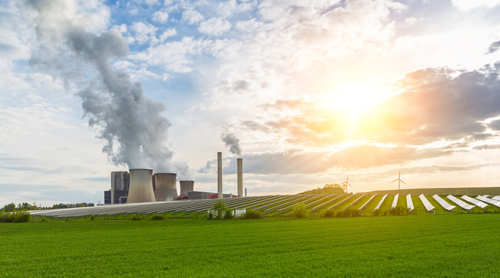 NBS credits can be generated through schemes such as planting trees or protecting forests that could be destroyed to make way for development projects if no financial incentive is given to preserve them. (Shutterstock)