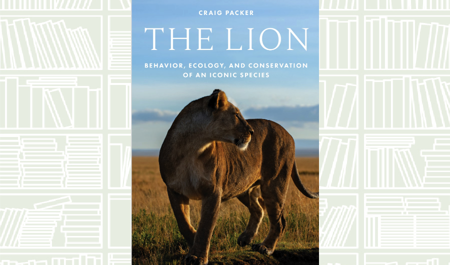 What We Are Reading Today: The Lion: Behavior, Ecology, and Conservation of an Iconic Species