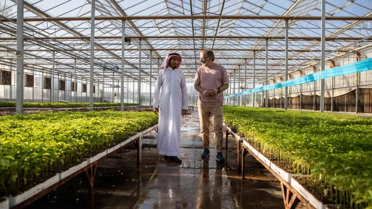 NEOM and CARE’s will develop a manifesto for food-industry professionals, outlining the principles for sustainable gastronomy and food security. (Supplied)