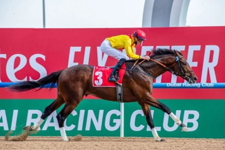 ‘Super Saturday’ promises exciting day of prep races for Dubai World Cup