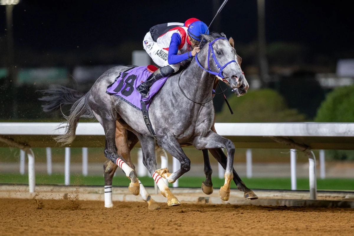 Horse Zuran Zuran, winner of the JCSA Challenge Cup (JCSA)