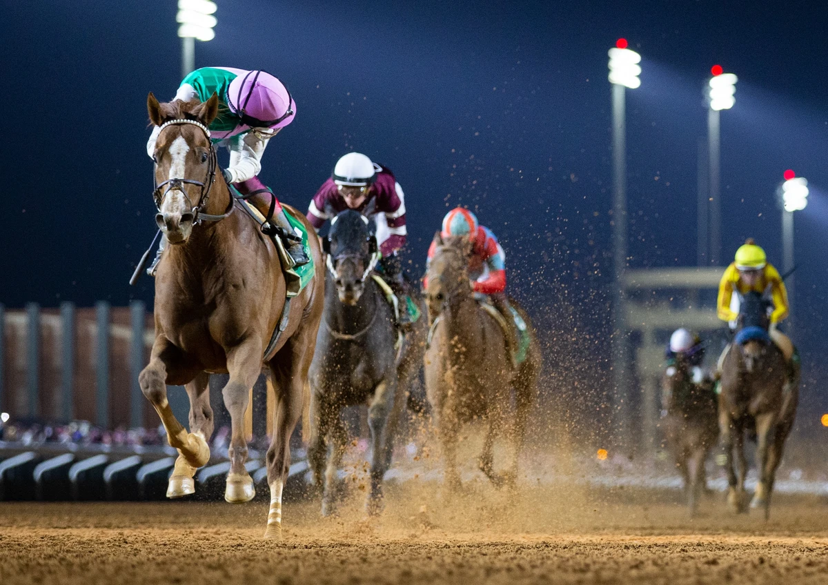 Frankie Dettori looking round for non-existent dangers on Elite Power. Credit: Jockey Club of Saudi Arabia.