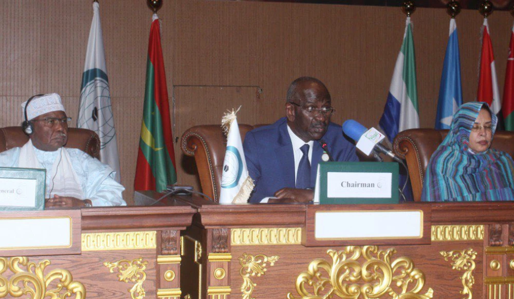 OIC Secretary-general Hissein Brahim taha, left, said the international Day to combat islamophobia should be used to confront intolerance. (Twitter @OIC_OCI)