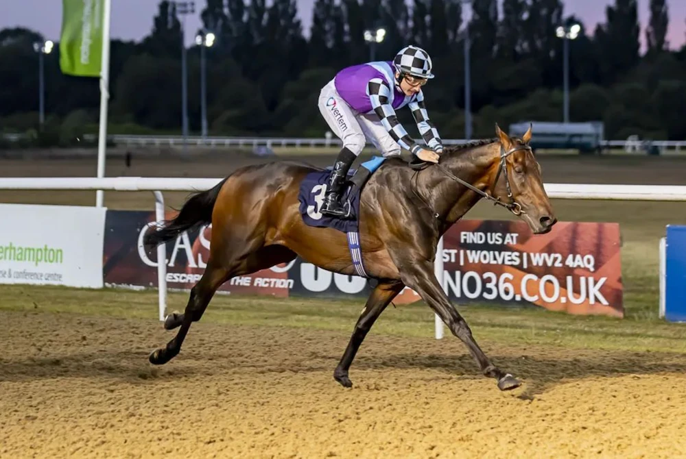 Bahraini-owned, Newmarket-trained El Habeeb out for glory in Dubai Gold Cup