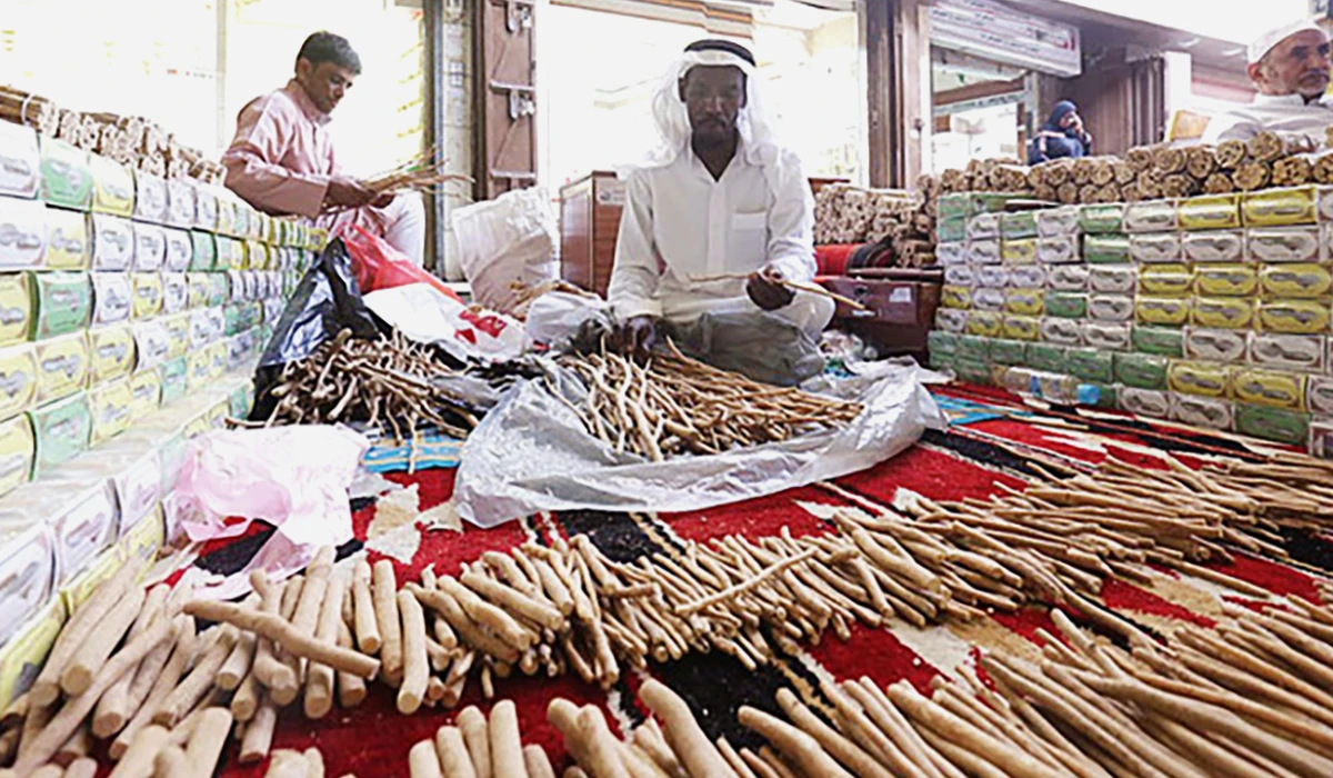 In Saudi Arabia, miswak is typically sourced from the Salvadora persica L. trees, known as arak in Arabic. The variety is also found in Sudan, Egypt and Chad. (Supplied)