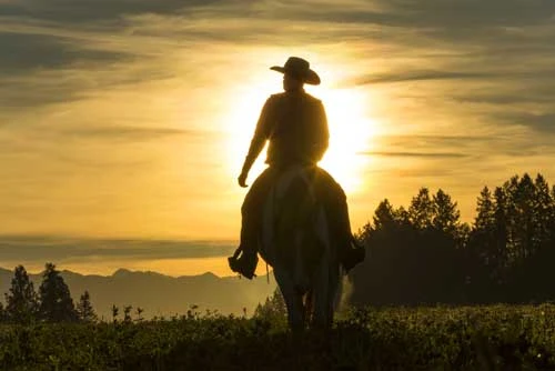 Cowboy experience