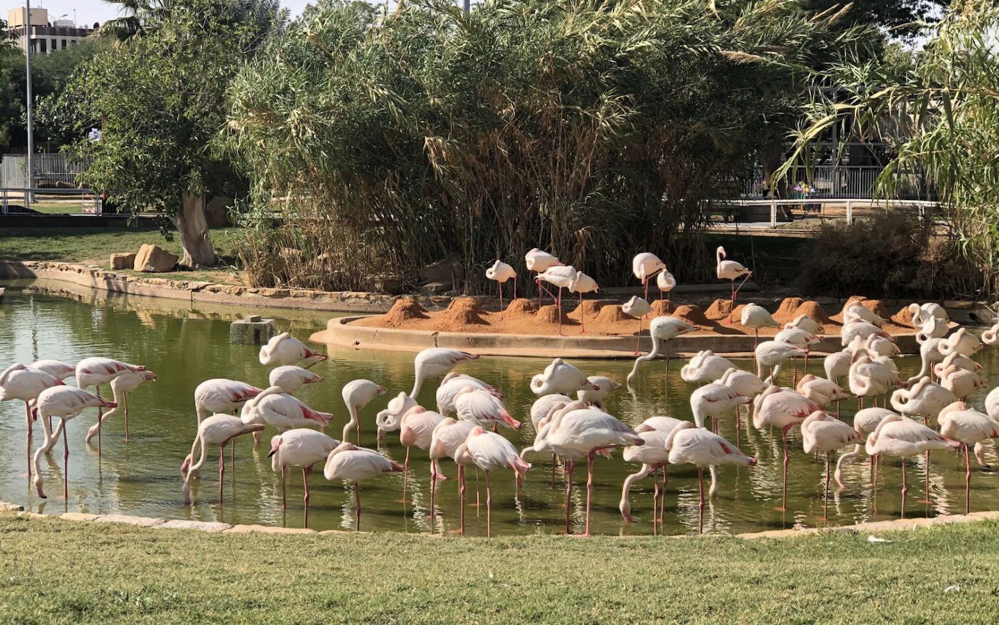 A zoo visit