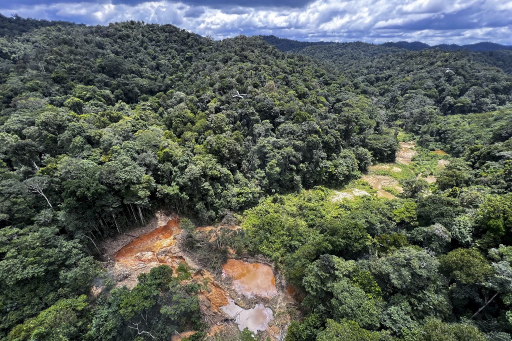 The value of intact forests, especially the vast tropical biomes in the Amazon, Congo and Indonesia, is immense. (File/AFP)