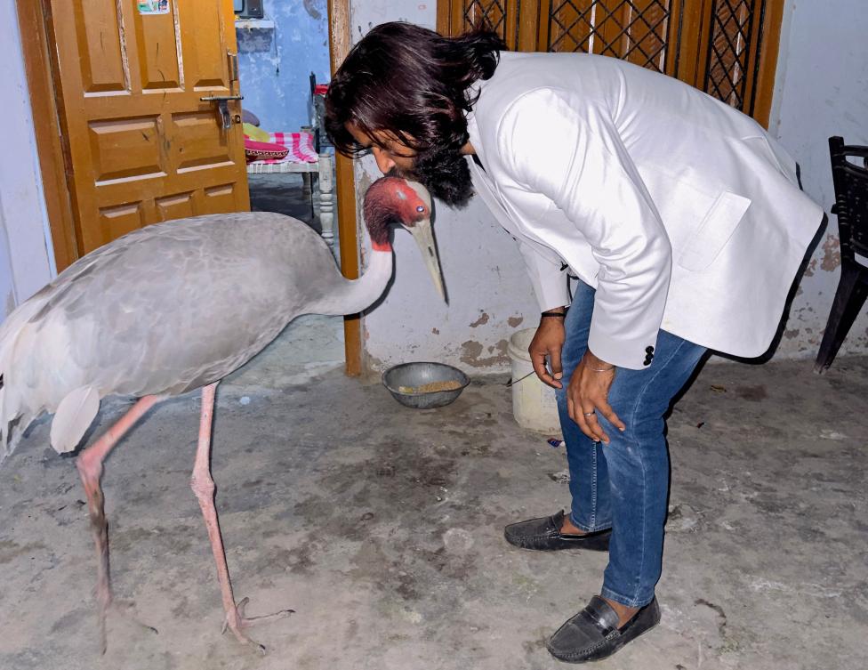 Free bird: Indian man asks zoo for feathered friend’s release