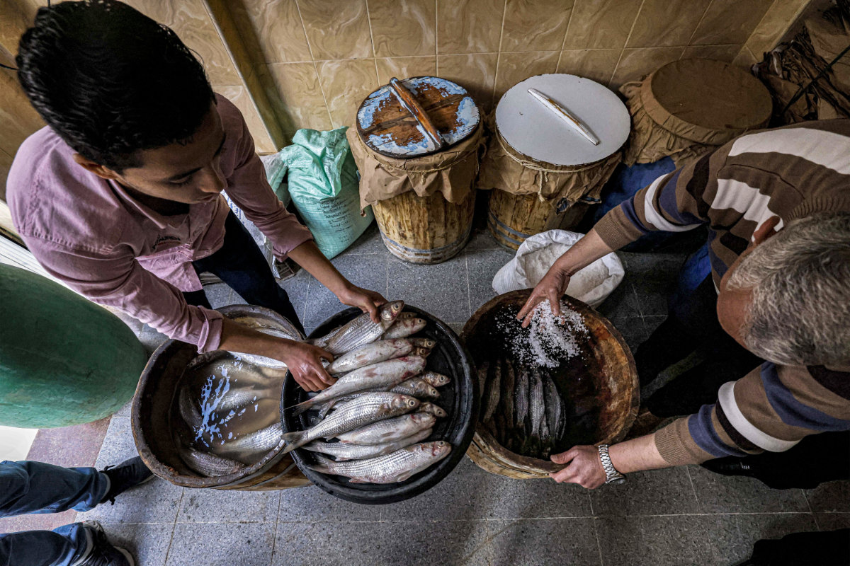 Fish mongers prepare to salt and barrel mullet fish known in Egypt as "fessikh" at a shop in the town of Nabarah on April 11, 2023, ahead of the traditional secular holiday of Sham el-Nessim. (AFP)
