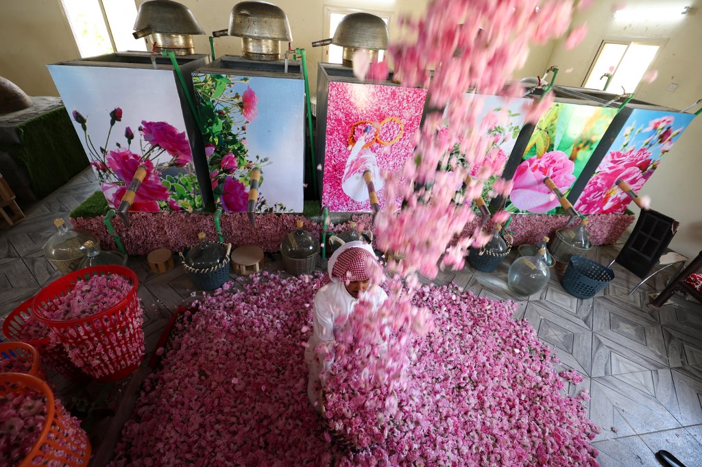 The Taif Rose Festival aims to celebrate the cultural value of centuries of rose cultivation. (File/AFP)