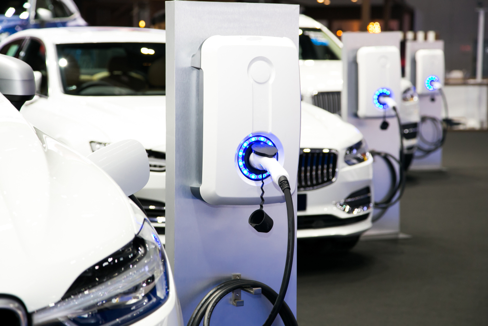 The share of electric cars in the overall car market has risen from around 4 percent in 2020 to 14 percent in 2022. (Shutterstock)
