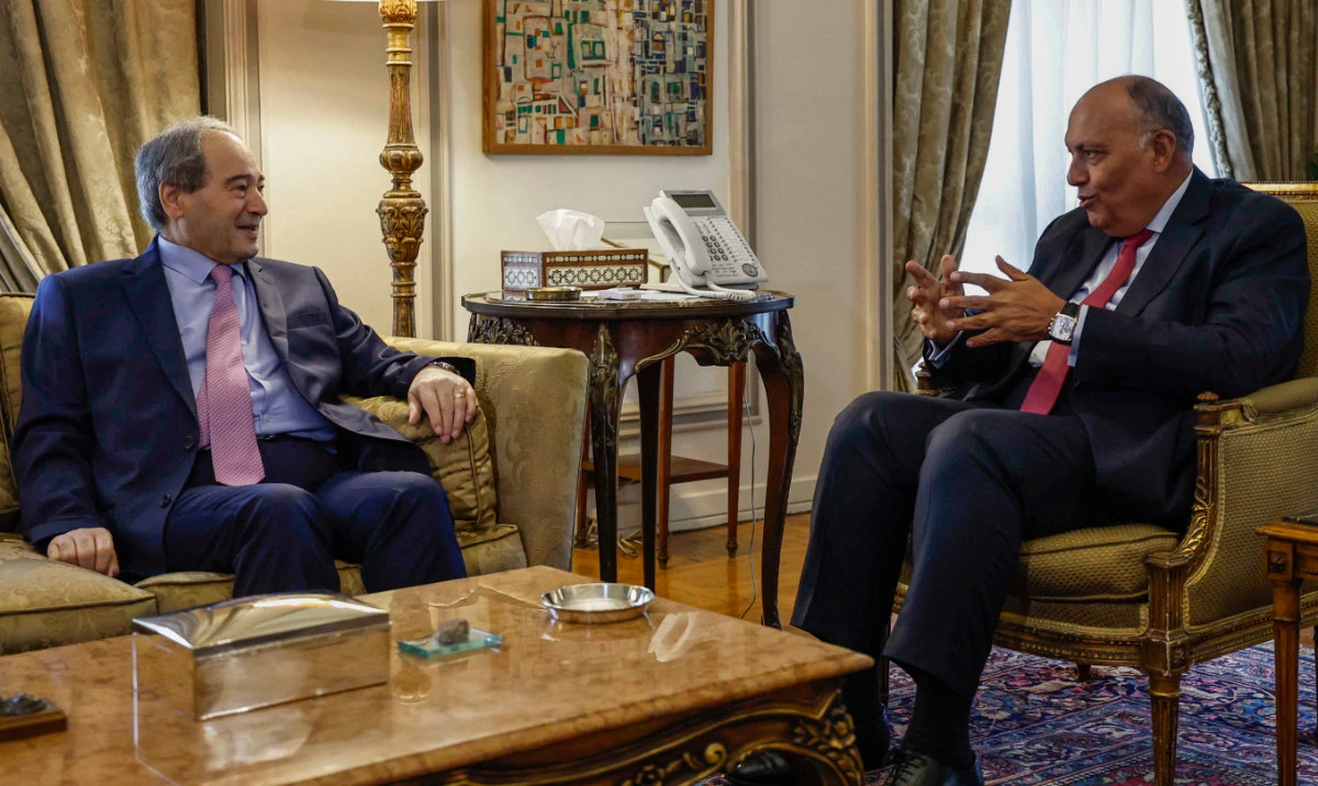 Egypt’s foreign minister, UN special envoy discuss Syria peace push