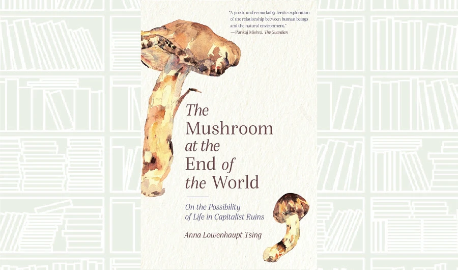What We Are Reading Today: The Mushroom at the End of the World by Anna Lowenhaupt Tsing