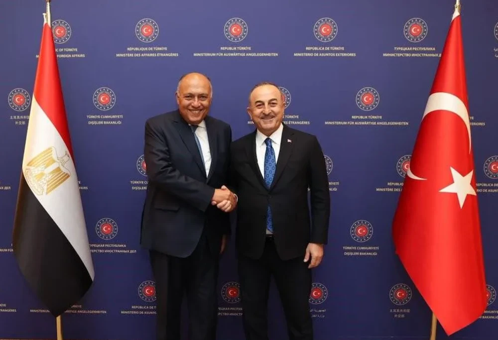 Turkiye, Egypt may cooperate to help Libya