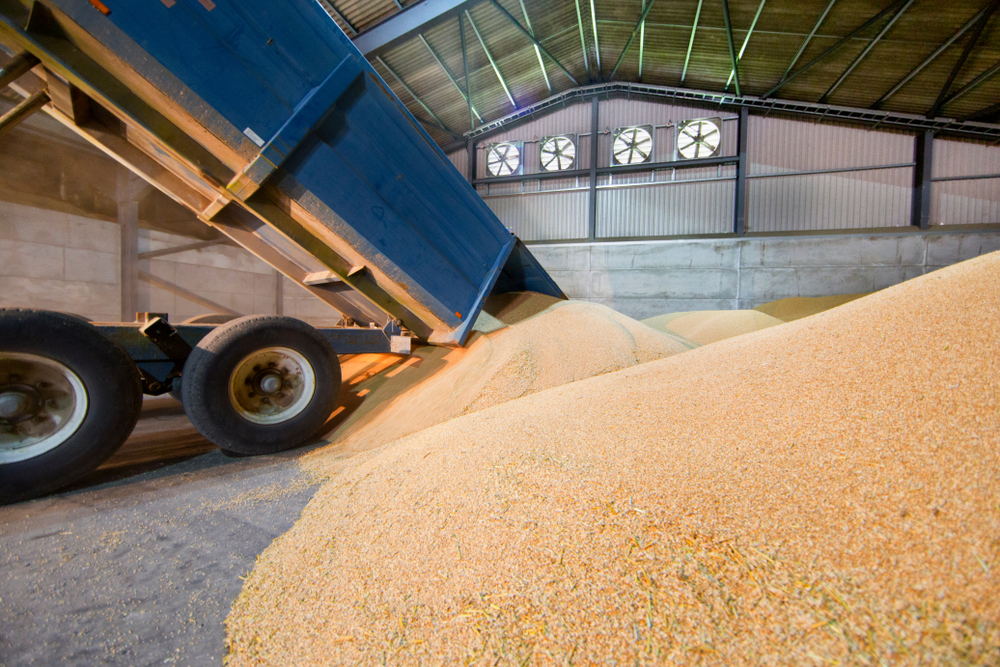 The new facility expands Saudi Arabia’s storage capacity to 3.5 million tons from 2.6 million tons in 2016. (Shutterstock)