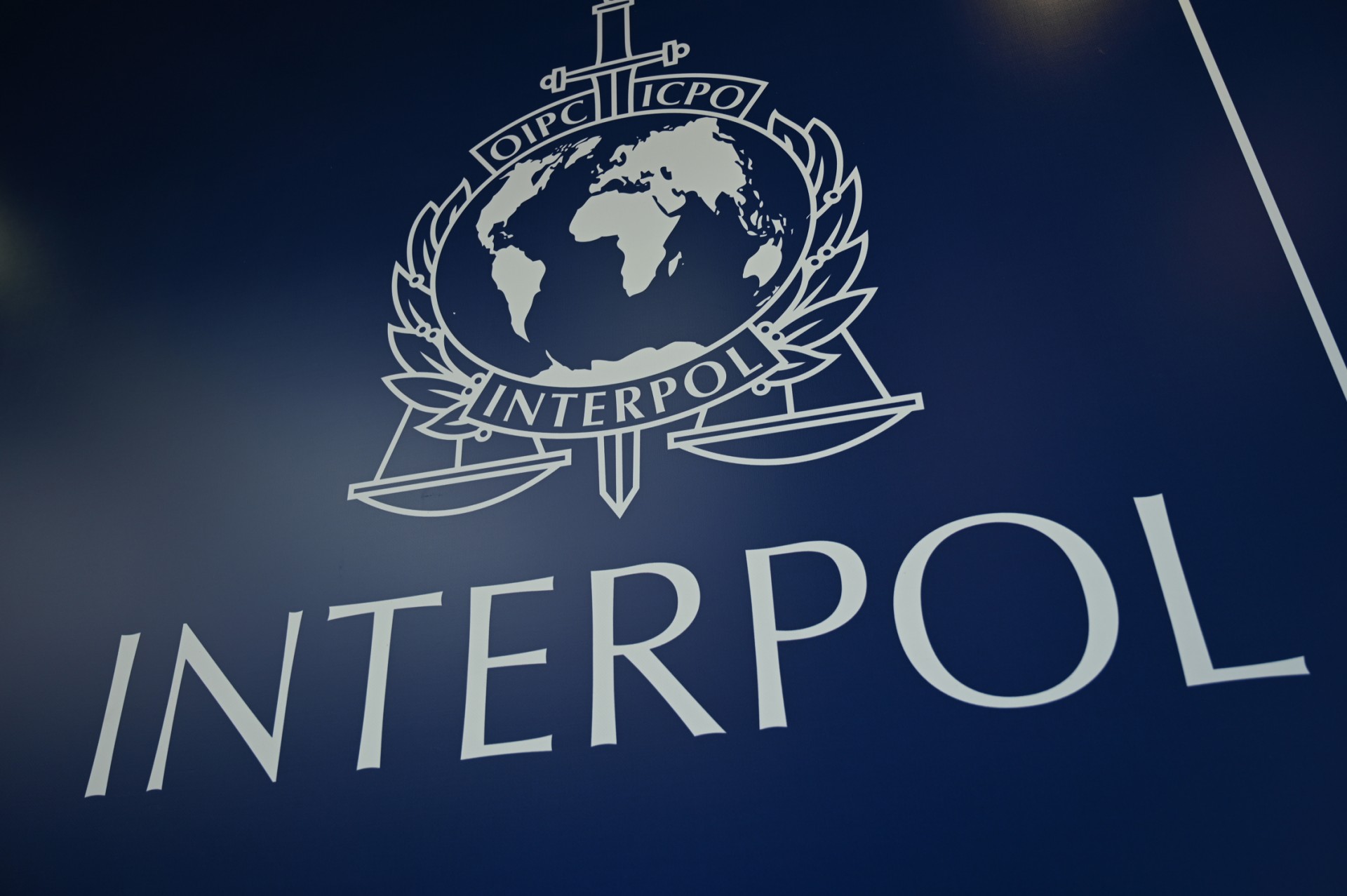 Logo of Interpol (AFP)