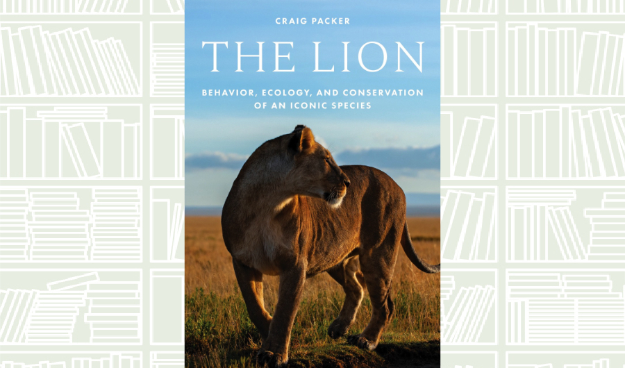 What We Are Reading Today: ‘The Lion’ by Craig Packer
