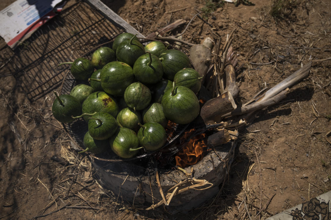 A group of Palestinians cook roast watermelons as they prepare to make "Lasima," a dish that is popular in the southern Gaza Strip but shunned in its north, at a garden in Khuzaa. Locals call it "watermelon salad." But this seasonal delicacy is far from the sweet, refreshing taste the name evokes. (AP)