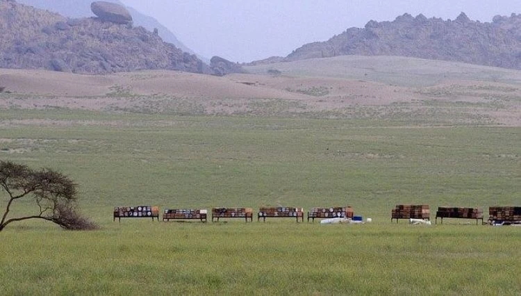 An apiary in the province of Asir, Saudi Arabia. (SPA)