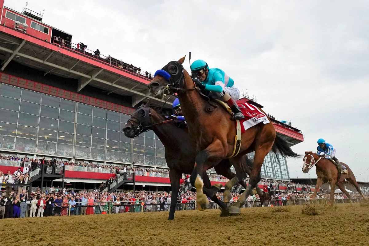 National Treasure, with jockey John Velazquez, edges out Blazing Sevens, with jockey Irad Ortiz Jr., to win the 148th running of the Preakness Stakes horse race at Pimlico Race Course, Saturday, in Baltimore. Kentucky Derby winner Mage, right, finished third. (AP)