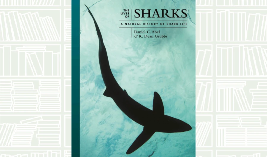What We Are Reading Today: The Lives of Sharks