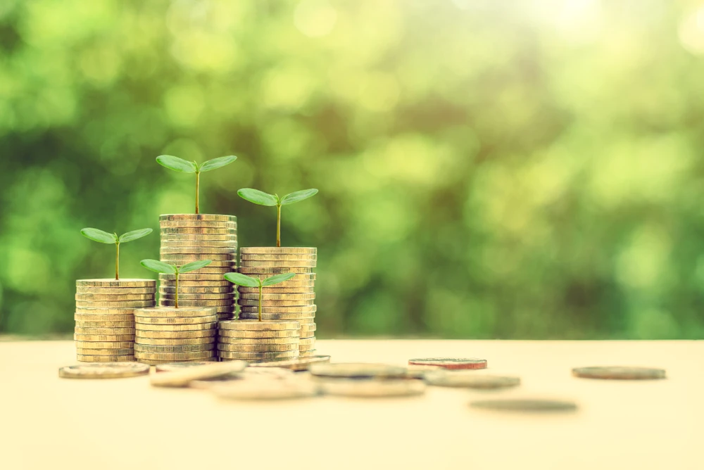 The report noted that long-term institutional investors, particularly sovereign wealth funds, have a crucial role to play in driving sustainable change. (Shutterstock)