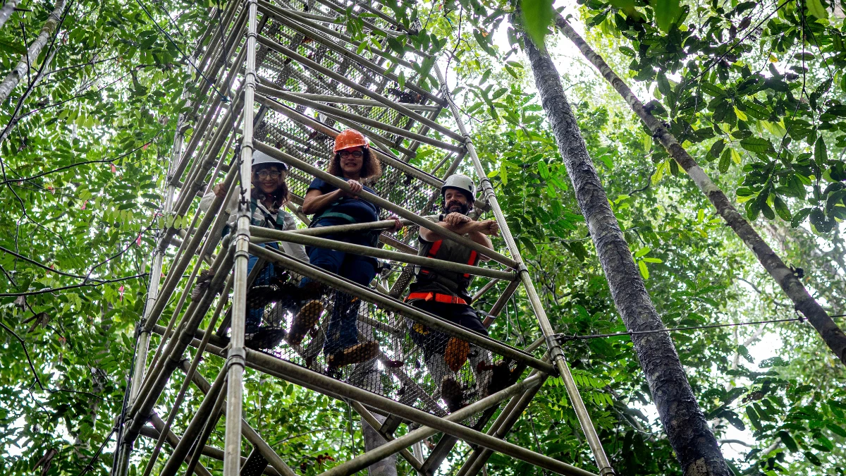 Amazon scientists simulate how warming may impact jungle