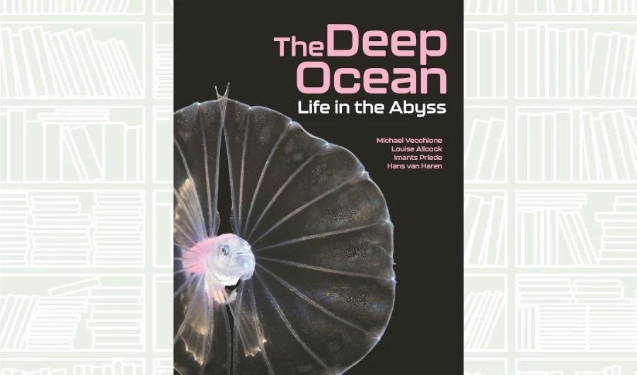What We Are Reading Today: The Deep Ocean