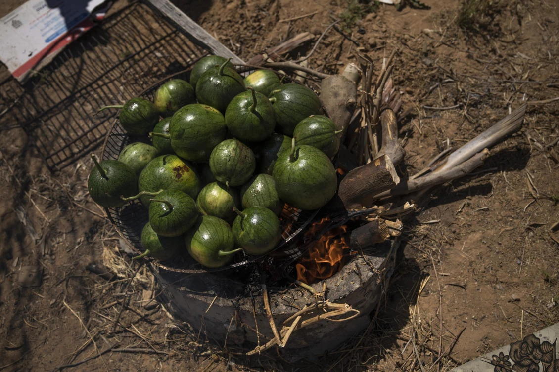 A group of Palestinians cook roast watermelons as they prepare to make "Lasima," a dish that is popular in the southern Gaza Strip but shunned in its north, at a garden in Khuzaa. Locals call it "watermelon salad." But this seasonal delicacy is far from the sweet, refreshing taste the name evokes. (AP)