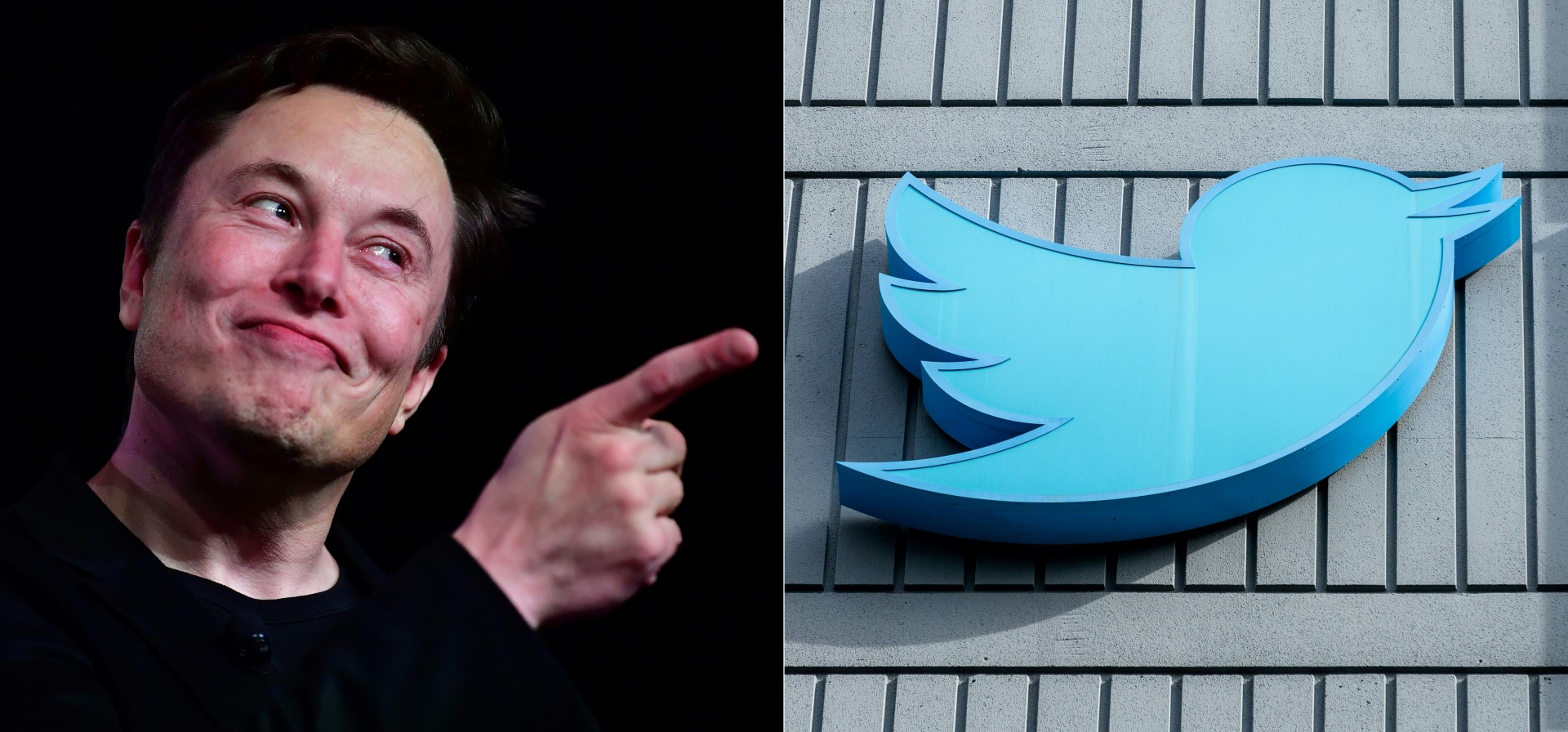 ‘What is a Woman?’ documentary tweet goes viral after Musk retweet