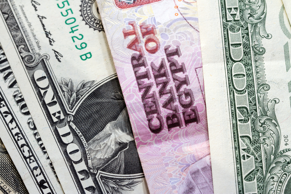 Egypt’s net international reserves gradually increased in the past nine months (Shutterstock)