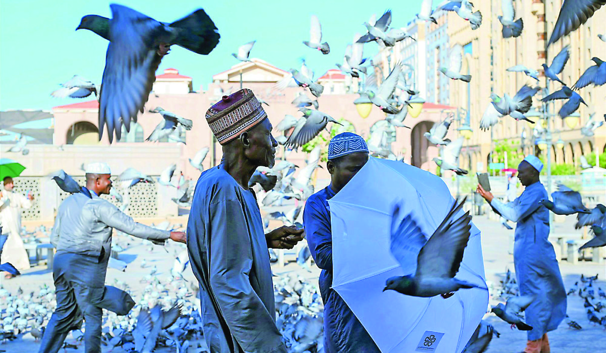Pigeons have become one of Makkah’s most famous landmarks and can often be seen in the courtyards of the Grand Mosque where pilgrims feed and interact with them. (SPA)