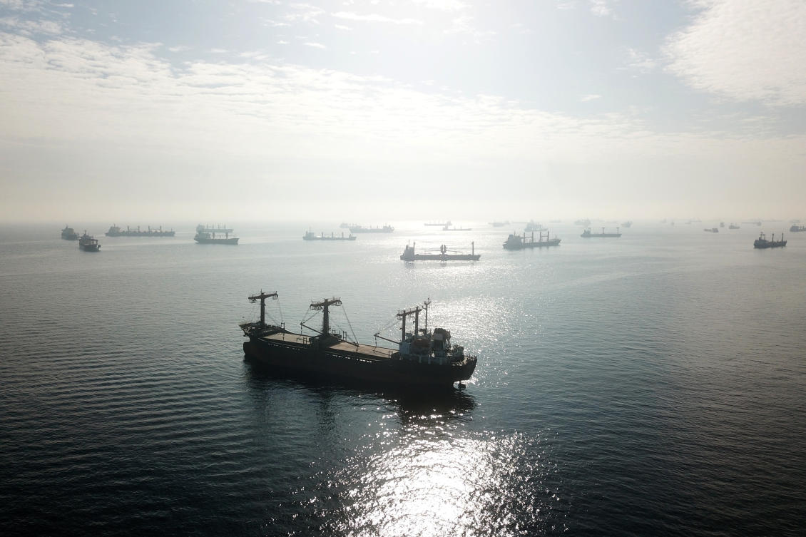 Above, cargo ships loaded with grain are anchored off the southern entrance to the Bosphorus in Istanbul as part of the Turkish- and UN-brokered accord on Ukrainian grains exports. (AFP)