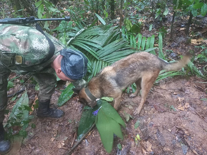Colombian military searches for heroic dog who helped find children in the Amazon jungle