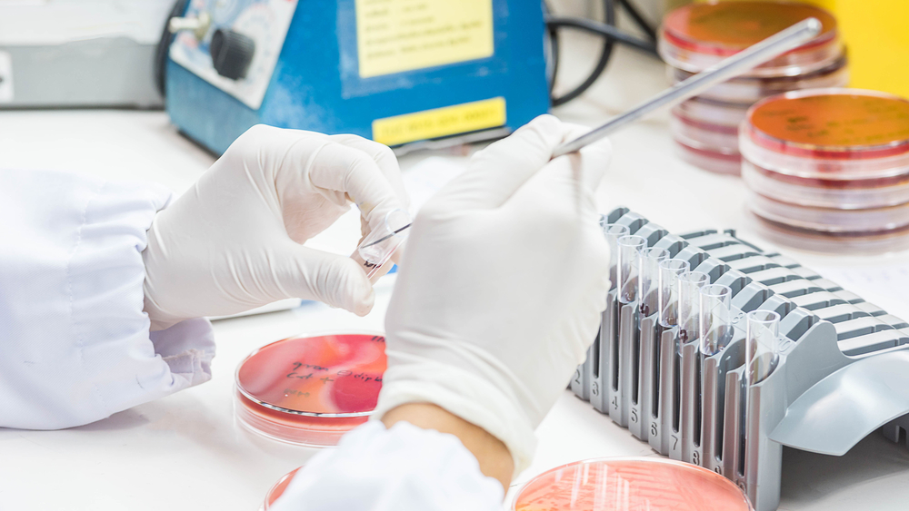 The partnership will contribute to expanding population health programs and enhancing the speed of clinical diagnoses (Shutterstock)