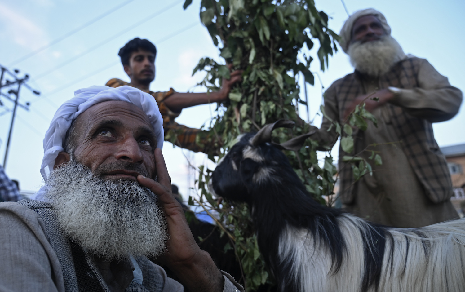 A Kashmiri livestock vendor sells sheep at a livestock market ahead of the Eid Al-Adha festival in Srinagar on June 27,2023. (AFP)
