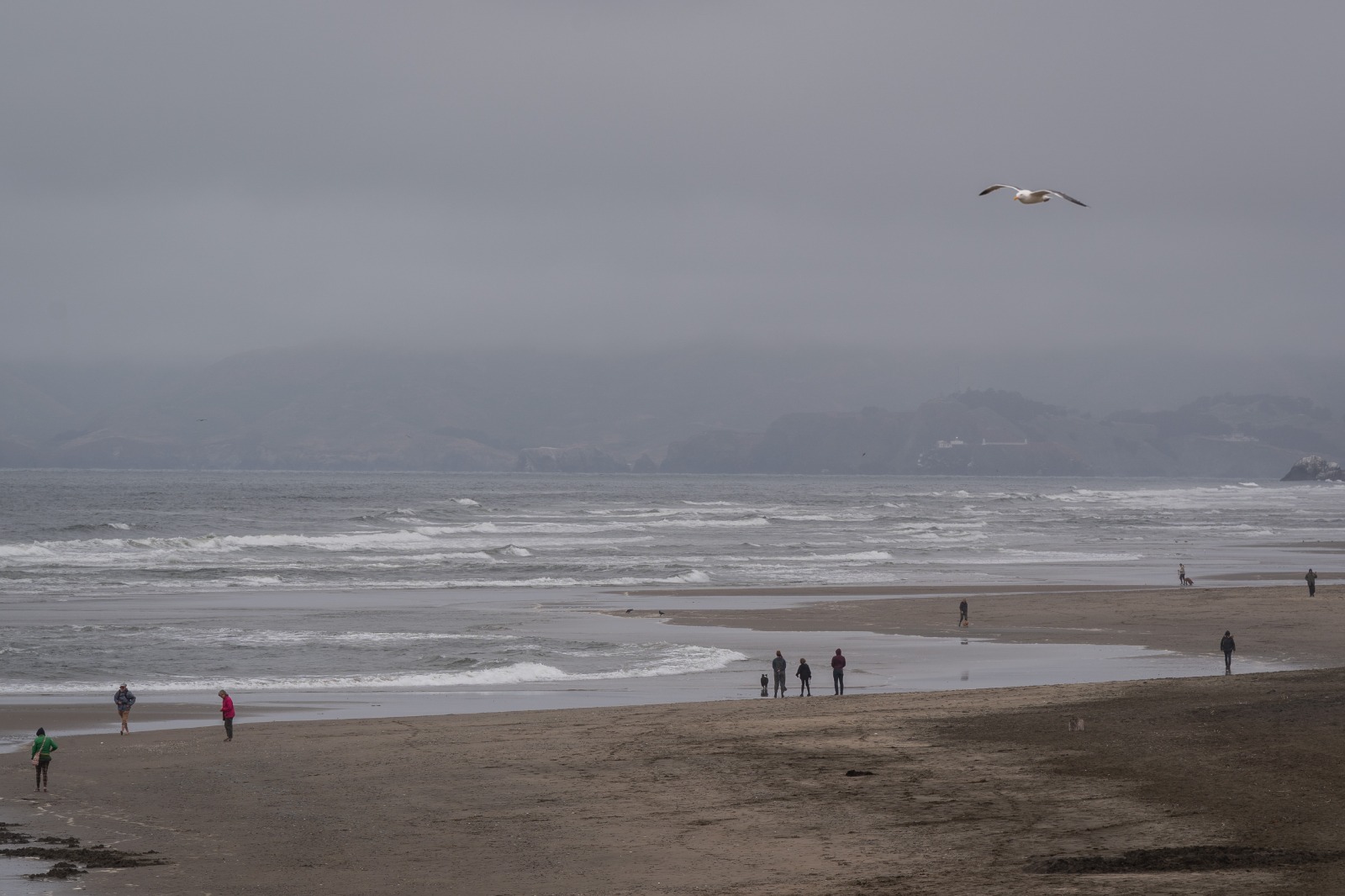 High land temperatures have been matched by those on the sea, with warming intensified by an El Nino event and other factors.(AFP)