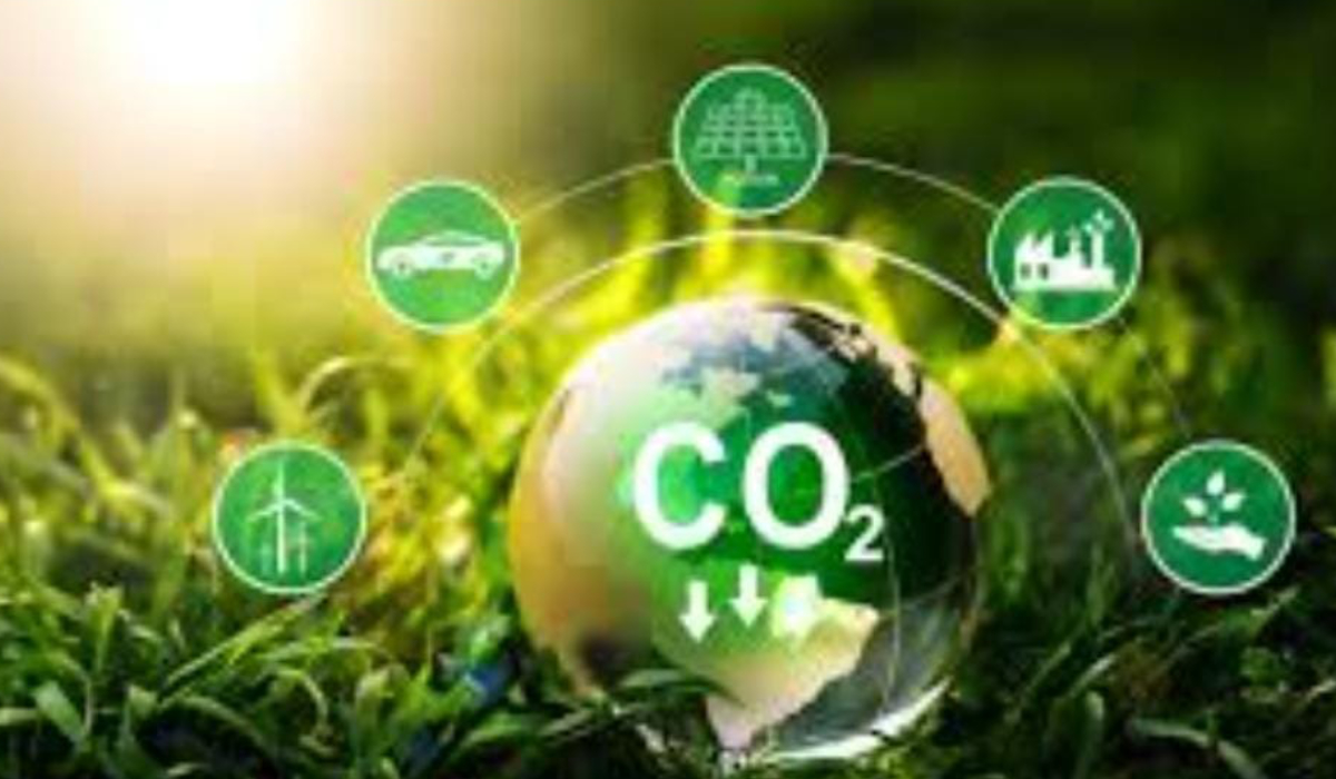 Saudi Arabia tapping into carbon credits economy