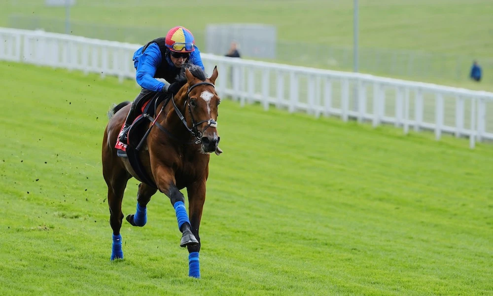 Arrest and Frankie Dettori at The Derby Festival Gallops Morning 2023. (John Hoy/The Jockey Club)