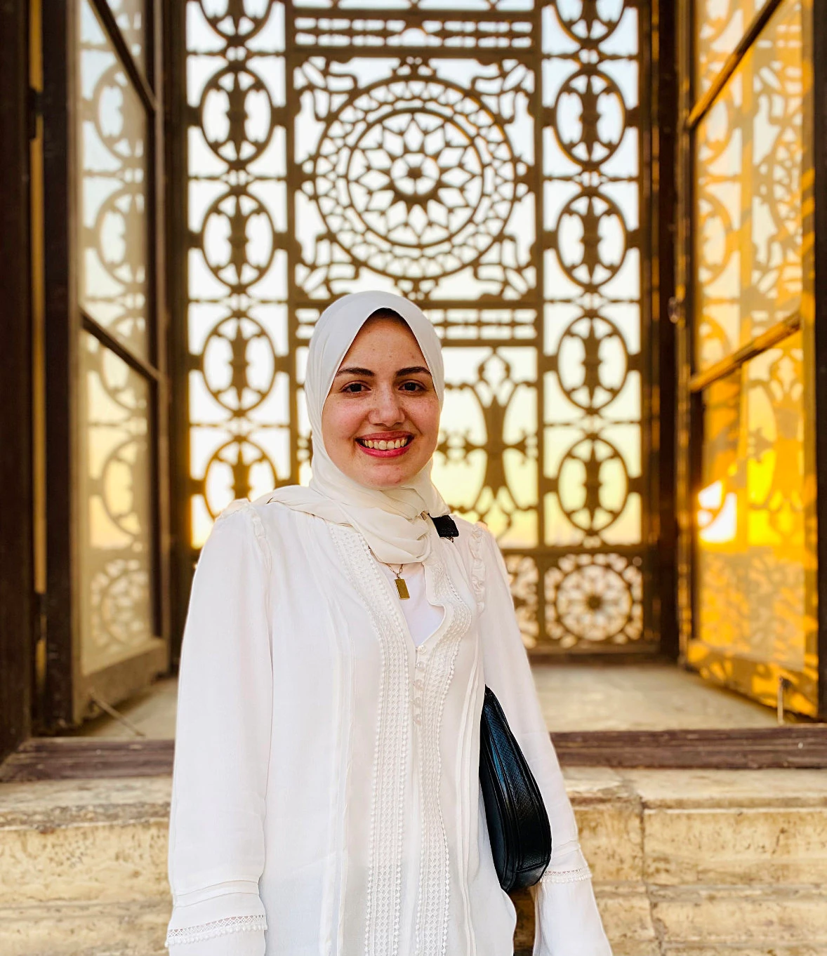 Noha Mostafa is among six outstanding individuals chosen to be part of the MENA Scholars Fellowship program.