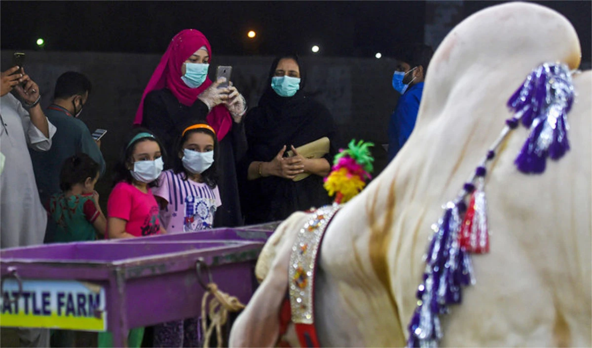 In this picture taken on July 22, 2020, customers arrive at a cattle market ahead of the Muslim festival Eid al-Adha or the 'Festival of Sacrifice', in Pakistan's port city of Karachi. (AFP/File)