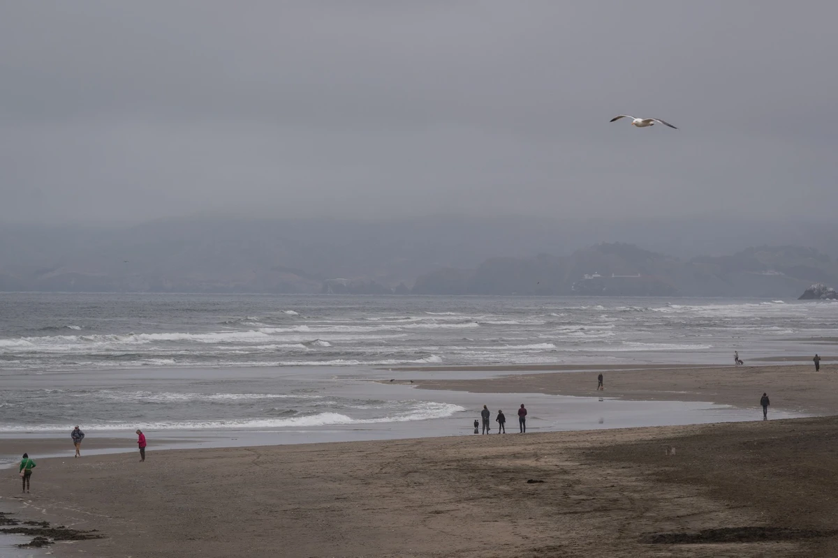 High land temperatures have been matched by those on the sea, with warming intensified by an El Nino event and other factors.(AFP)