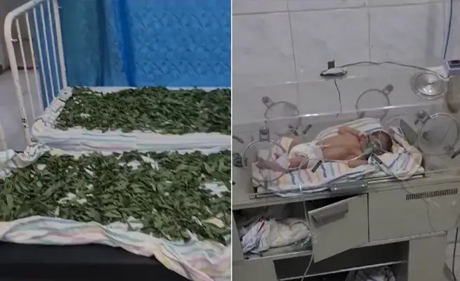 Viral video of neonatal unit prompts Syrian authorities to close Daraa hospital