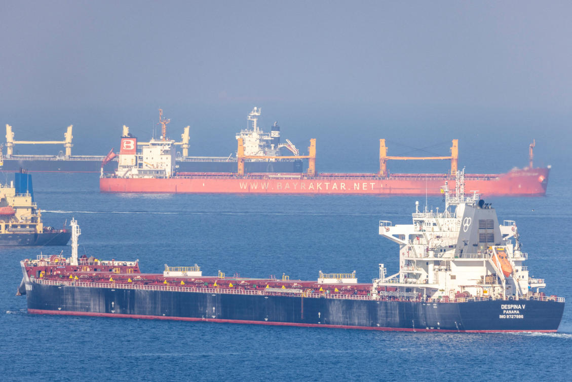 Above, the cargo ship Despina V, carrying Ukrainian grain, in the Black Sea off Kilyos near Istanbul, Turkiye on Nov. 2, 2022. (Reuters)