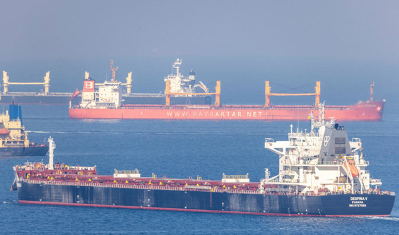 Above, the cargo ship Despina V, carrying Ukrainian grain, in the Black Sea off Kilyos near Istanbul, Turkiye on Nov. 2, 2022. (Reuters)